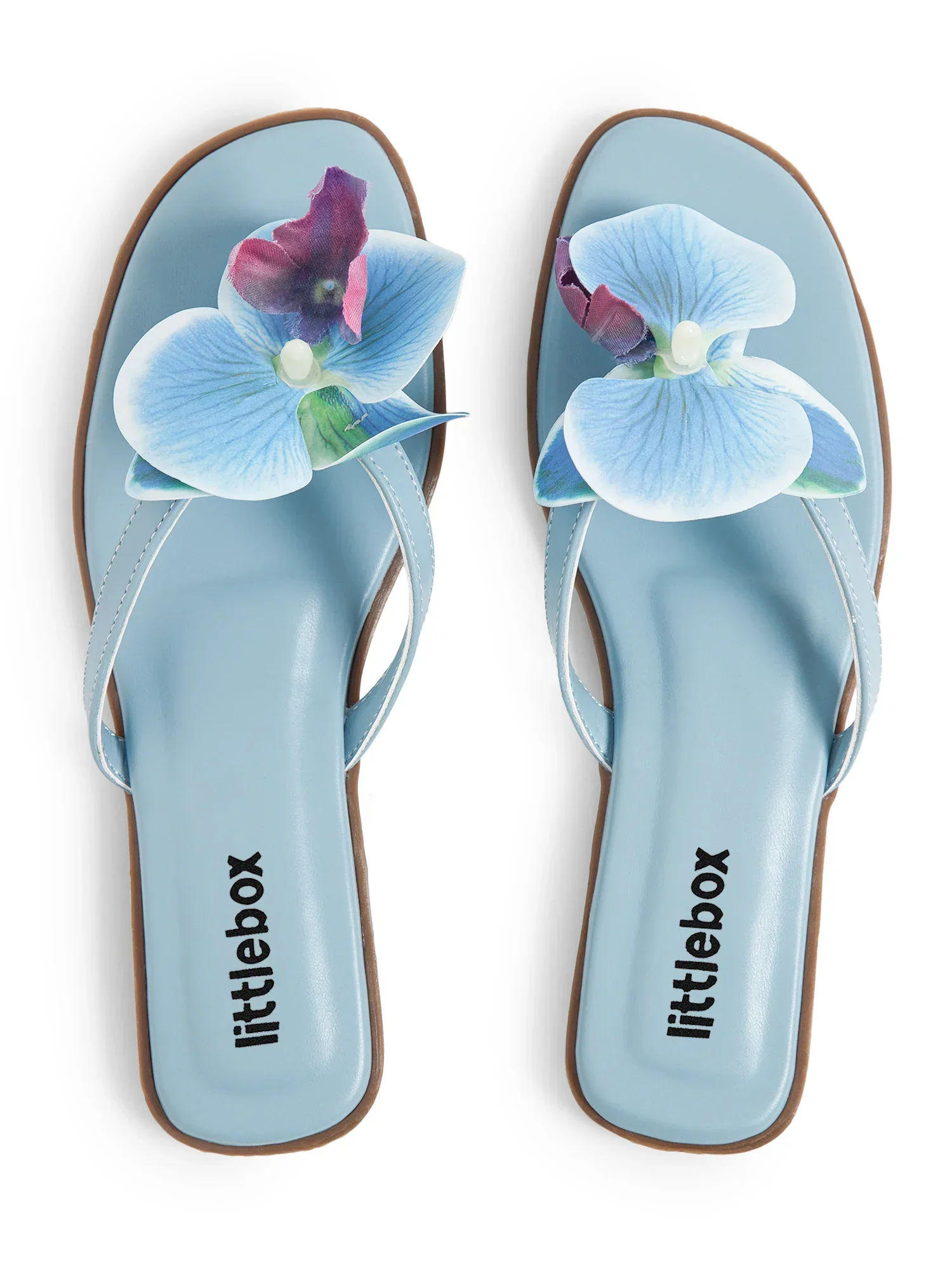 Blue Butterfly Orchid Decor Beach Flat - Image 3