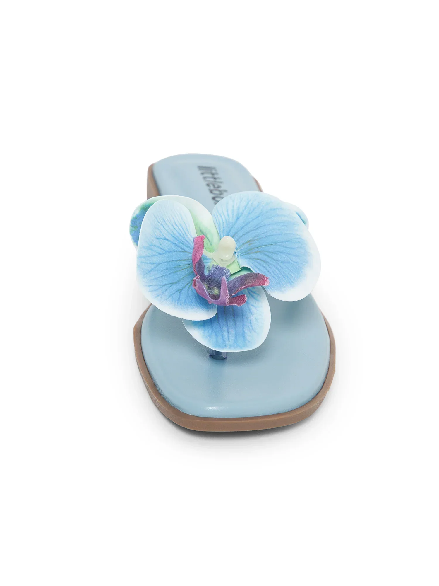 Blue Butterfly Orchid Decor Beach Flat - Image 5