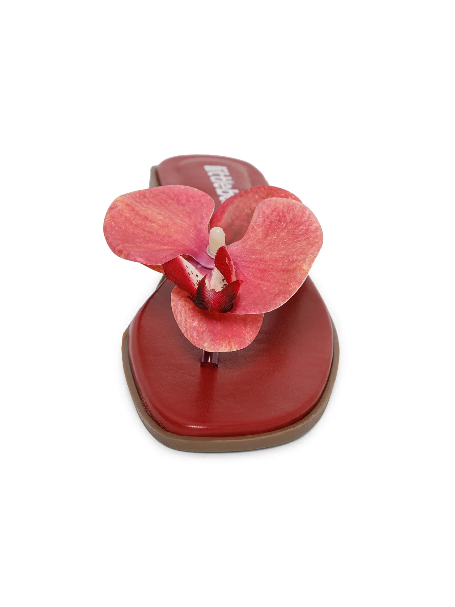 Cherry Butterfly Orchid Decor Beach Flat - Image 5