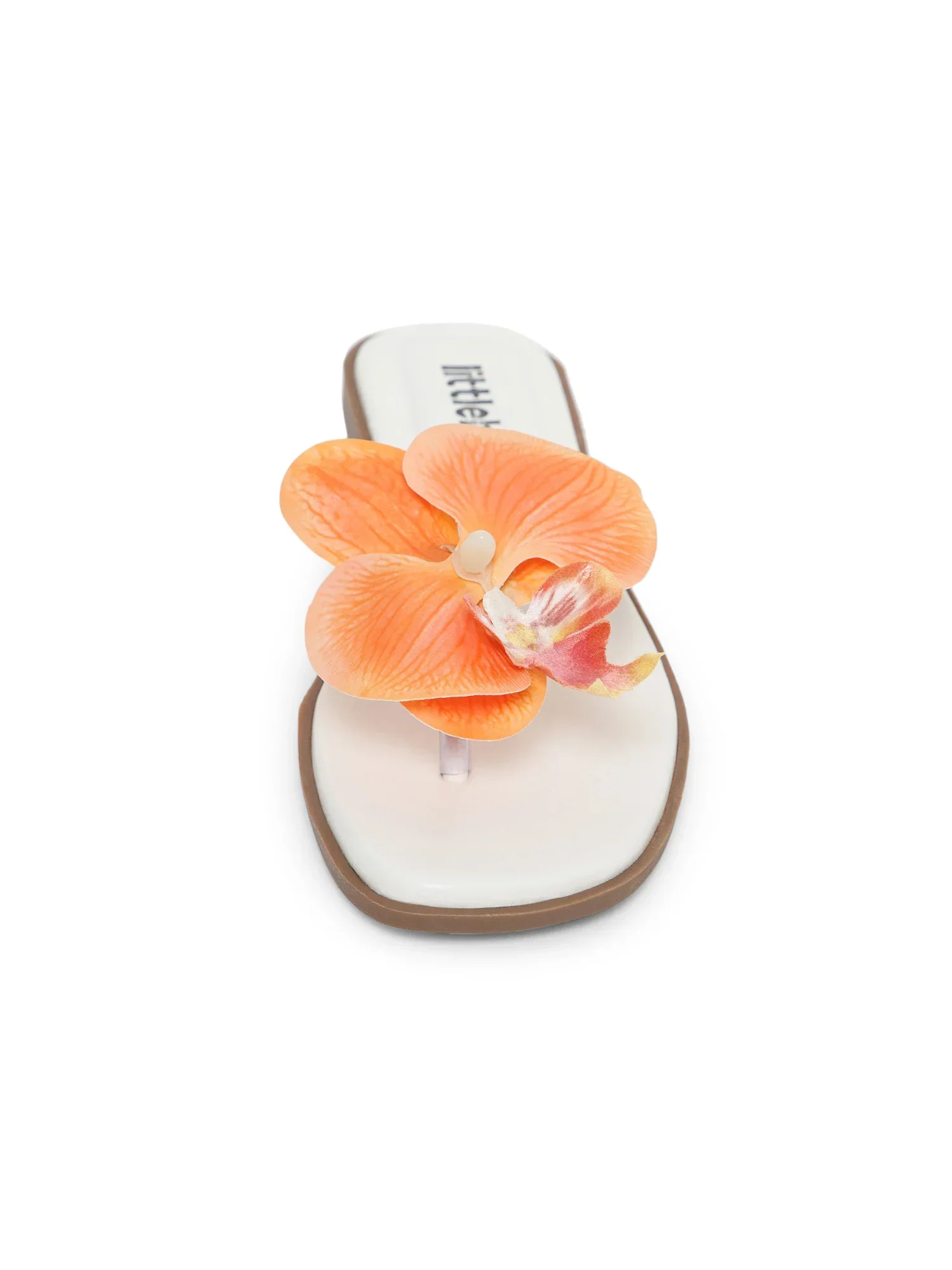 Orange Butterfly Orchid Decor Beach Flat - Image 5