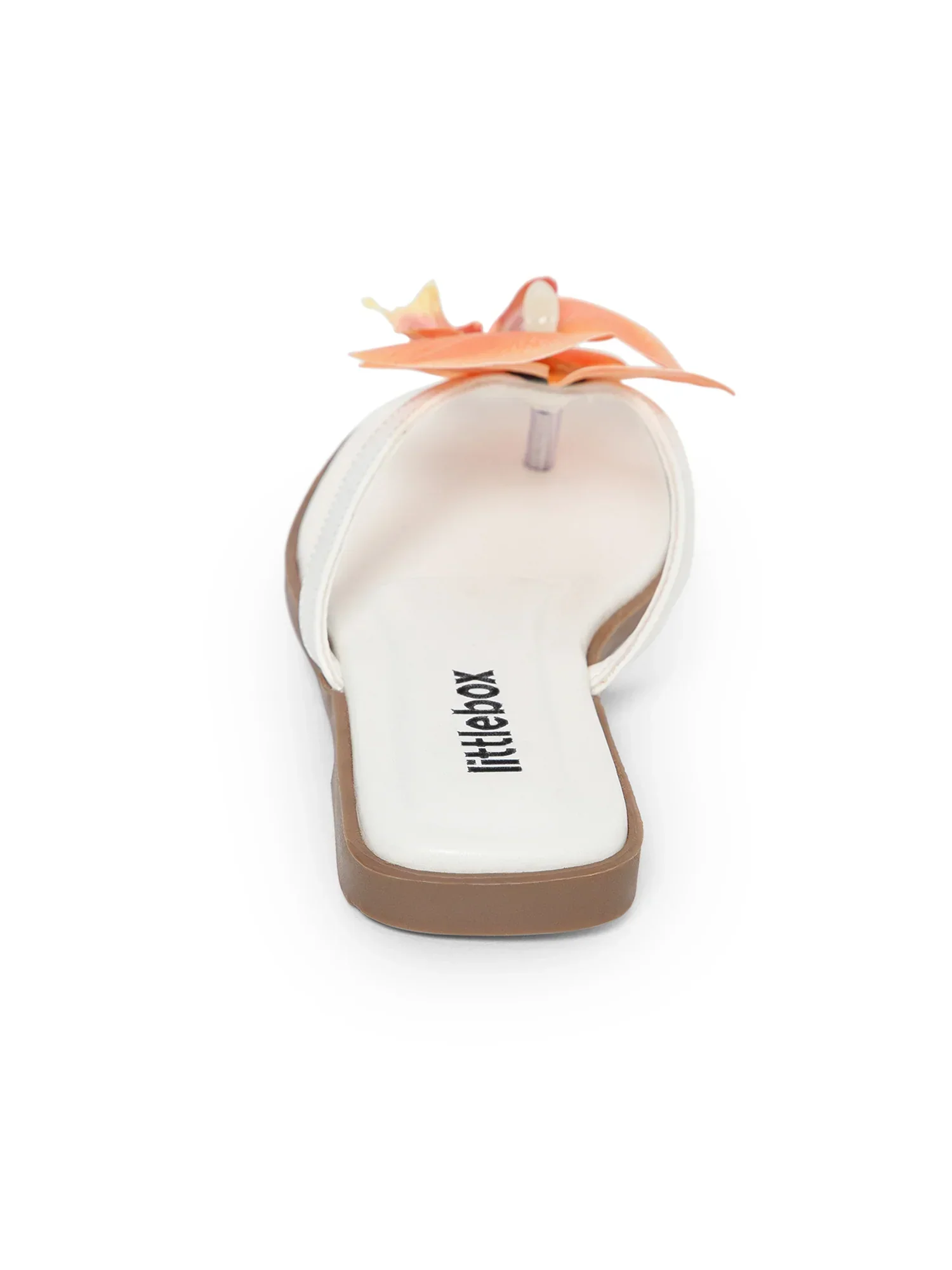 Orange Butterfly Orchid Decor Beach Flat - Image 6