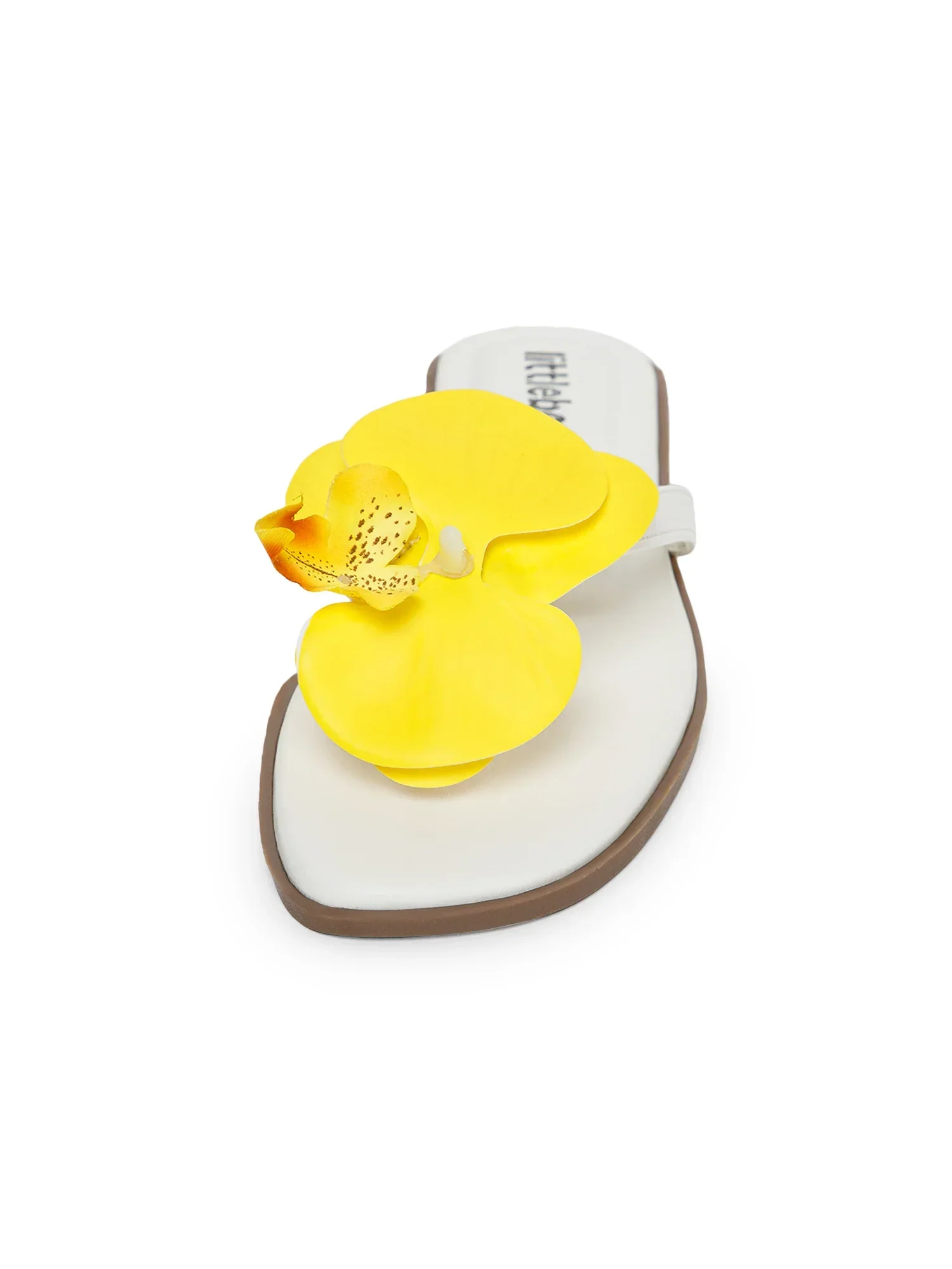 Yellow Butterfly Orchid Decor Beach Flat - Image 5